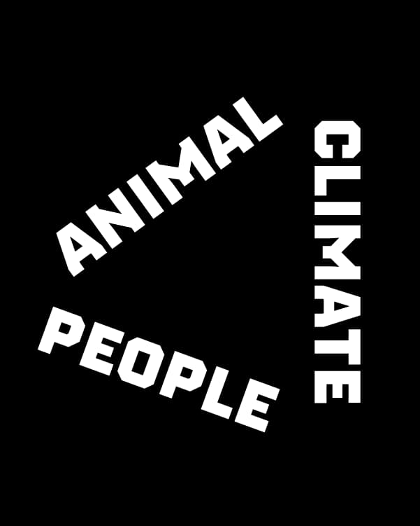 JUICE groups sustainability actions into three impact pillars: Climate, People, and Nature & Animal